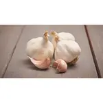 GardenSeed Premium Sadbový cesnak Flavor 250 g