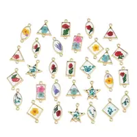 Alloy Epoxy Resin Connector Charms