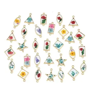 Alloy Epoxy Resin Connector Charms