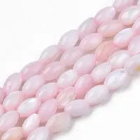 Natural Freshwater Shell Beads Strands