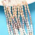 Natural Cultured Freshwater Pearl Beads Strands