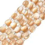 Natural Trochid Shell/Trochus Shell Beads Strands