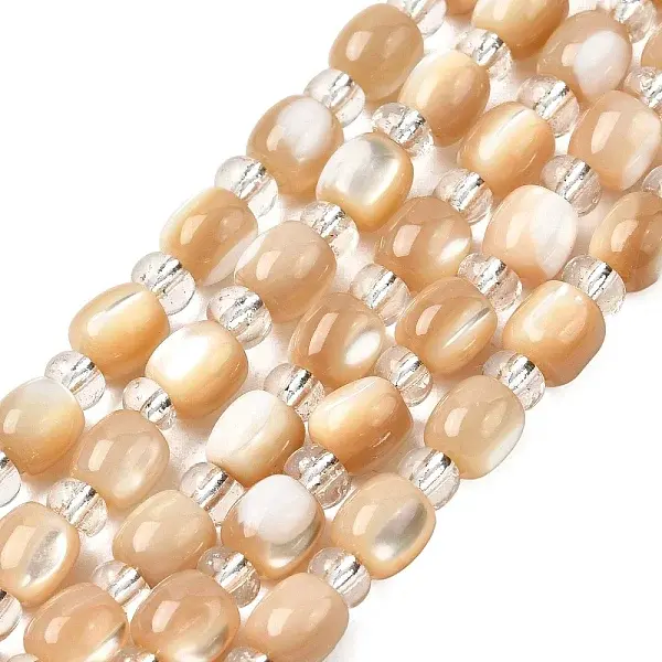 Natural Trochid Shell/Trochus Shell Beads Strands