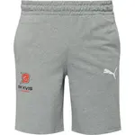 Puma TEAMGOAL CASUALS SHORTS - BK KVIS PARDUBICE Pánské kraťasy, šedá, velikost