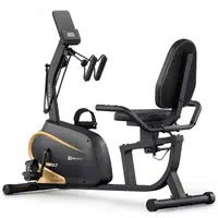 Recumbent HS-045 Volt zlatý