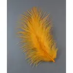 Fashion Feather Costume Accessories