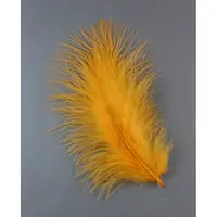 Fashion Feather Costume Accessories