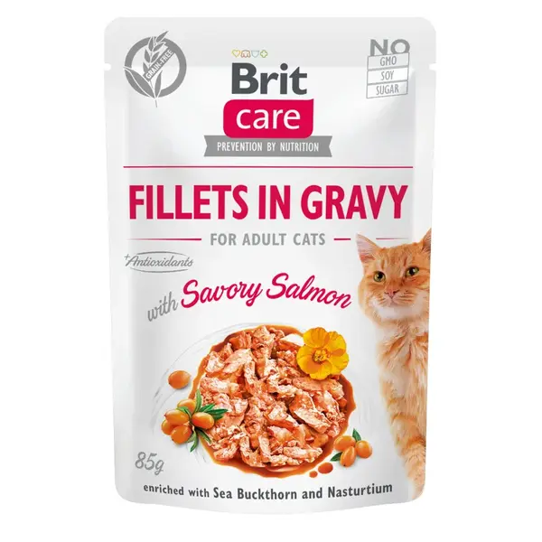Brit Care Cat Kitten - Fillets in Gravy with Savory Salmon 85 g