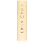 KAHI Extin C Balm Stick hydratační balzám pro rozjasnění a vyhlazení pleti 9 g