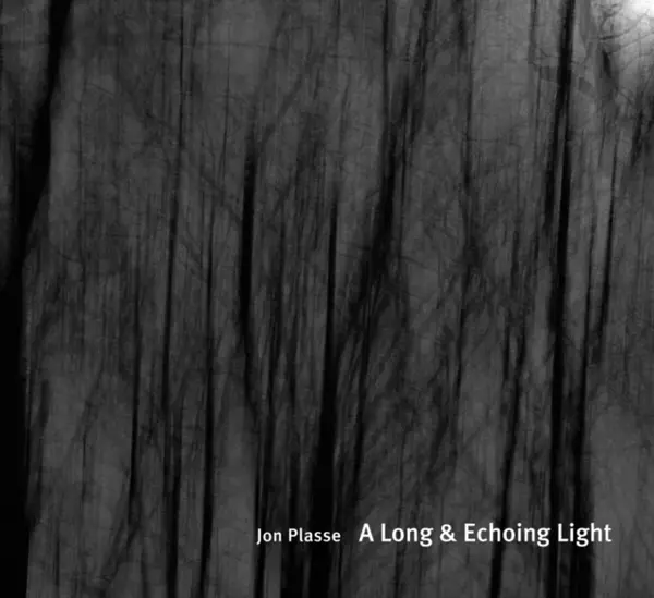 A Long and Echoing Light - Jon Plasse