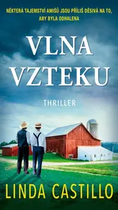 Vlna vzteku - Linda Castillo
