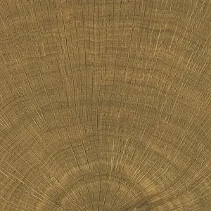 Dlažba Emil W-Circles walnut 10x10 cm mat 00ENJE68
