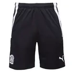Puma TEAM LIGA TRAINING SHORTS Pánske futbalové kraťasy, čierna, veľkosť