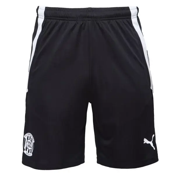 Puma TEAM LIGA TRAINING SHORTS Pánske futbalové kraťasy, čierna, veľkosť