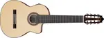 Ibanez GA3008CE NT