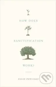 How Does Sanctification Work? - Powlison David - kniha z kategorie Filozofie