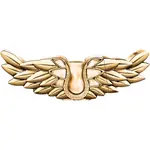 ZADIG&VOLTAIRE ZADIG L'INTENSE parfumovaná voda intense pre ženy 50 ml