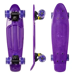 Penny board WORKER Aspy C2 22" se svítícími kolečky