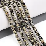 Natural Dalmatian Jasper Beads Strands