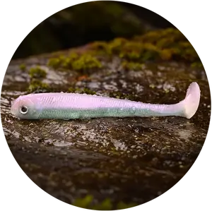 Redbass gumová nástraha ripper swimmer slim ghost natur - s 70 mm