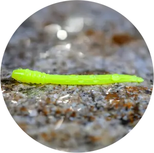 Redbass gumová nástraha micro tail signal yellow uv color - xs 35 mm