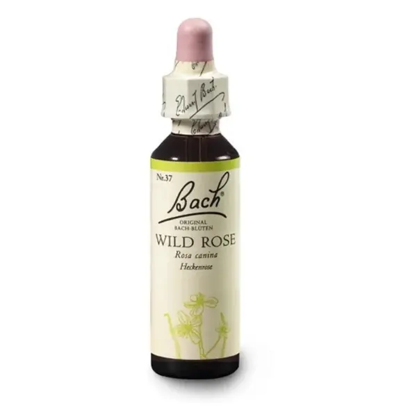 ORIGINAL BACH® Wild rose 20 ml