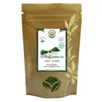 SALVIA PARADISE Mladý zelený ječmen 100% sušená šťáva BIO 250 g