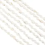 2 Strands Natural Trumpet Shell Beads Strands