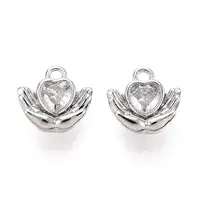 Brass Micro Pave Clear Cubic Zirconia Charms