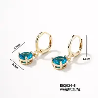 Elegant Hoop Earrings