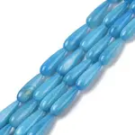 Natural Freshwater Shell Beads Strands