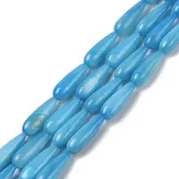 Natural Freshwater Shell Beads Strands