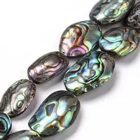 Natural Abalone Shell/Paua Shell Beads