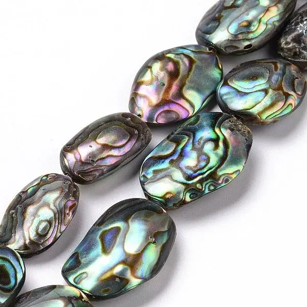 Natural Abalone Shell/Paua Shell Beads
