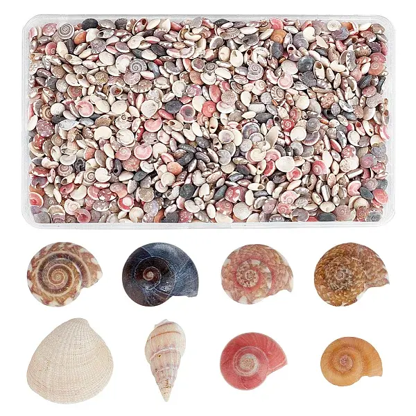 Spiral Shell Beads