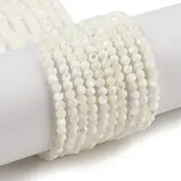 Natural Trochus Shell Beads Strands