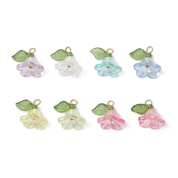 8Pcs Acrylic Charms