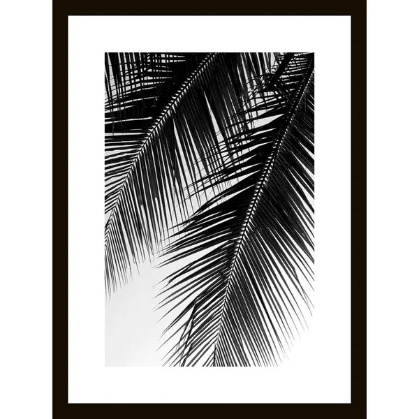 OBRAZ NA SKLE, rostliny, 30/40/1,40 cm