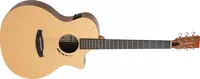 Tanglewood TM6CE