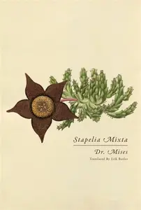 Stapelia Mixta - Dr. Mises