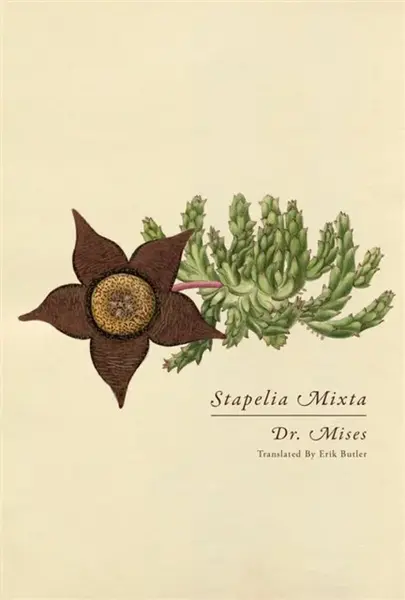 Stapelia Mixta - Dr. Mises