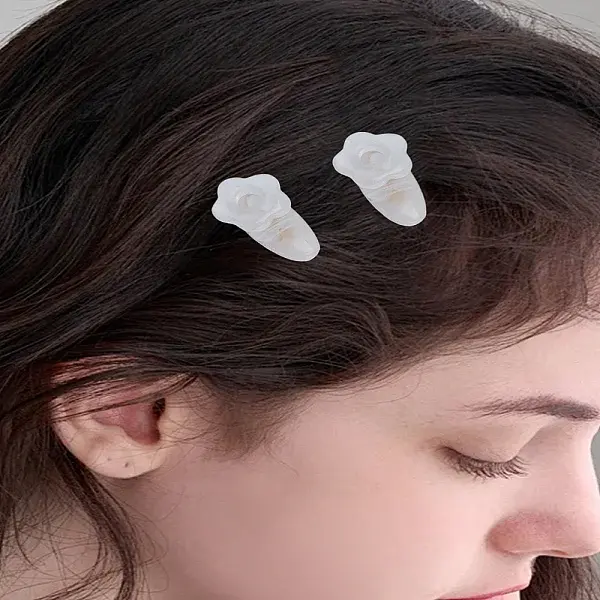 4Pcs Acrylic Alligator Hair Clips