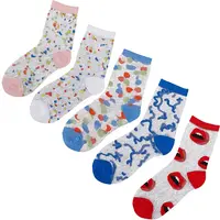 5 Pairs 5 Styles Nylon Glass Silk Socks for Women