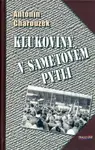 Klukoviny v sametovém pytli (poškozená) - Antonín Charouzek