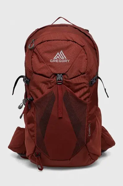 Gregory  Ruksak  Citro 24