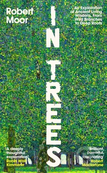 In Trees (An Exploration of Ancient Living Wisdom, from Wild Branches to Deep Roots)