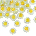 Translucent Resin Beads