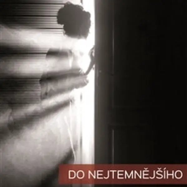 Do nejtemnějšího kouta - Elizabeth Haynesová