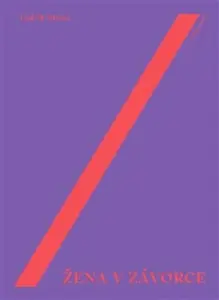 Žena v závorce - Ludvík Němec