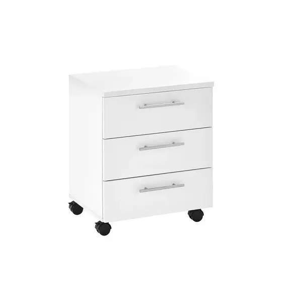 Carryhome POJÍZDNÝ KONTEJNER, 40/56/39 cm